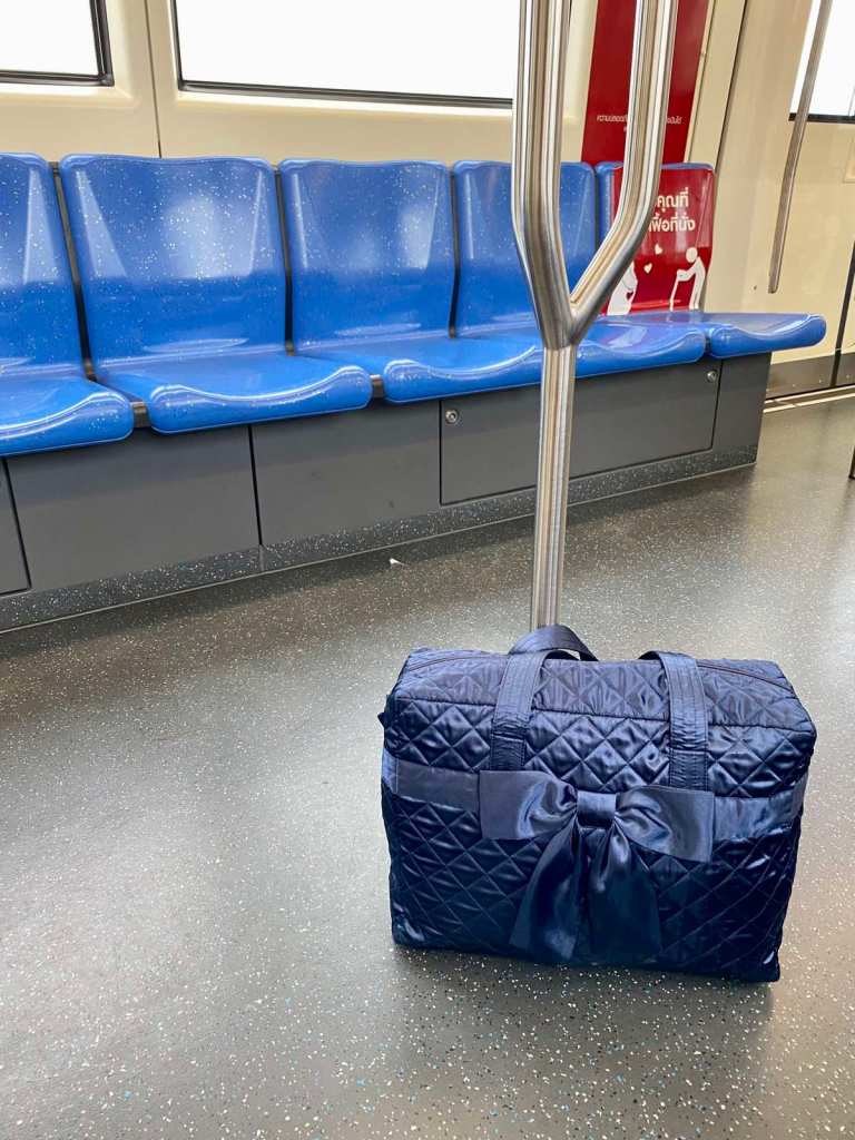Navy blue naraya bag in a train