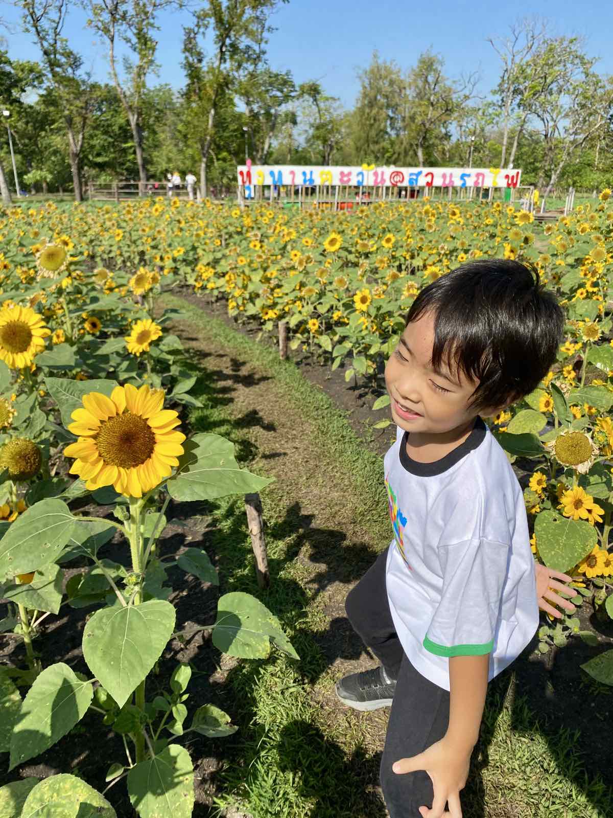 Little boy smiling at a sunflower