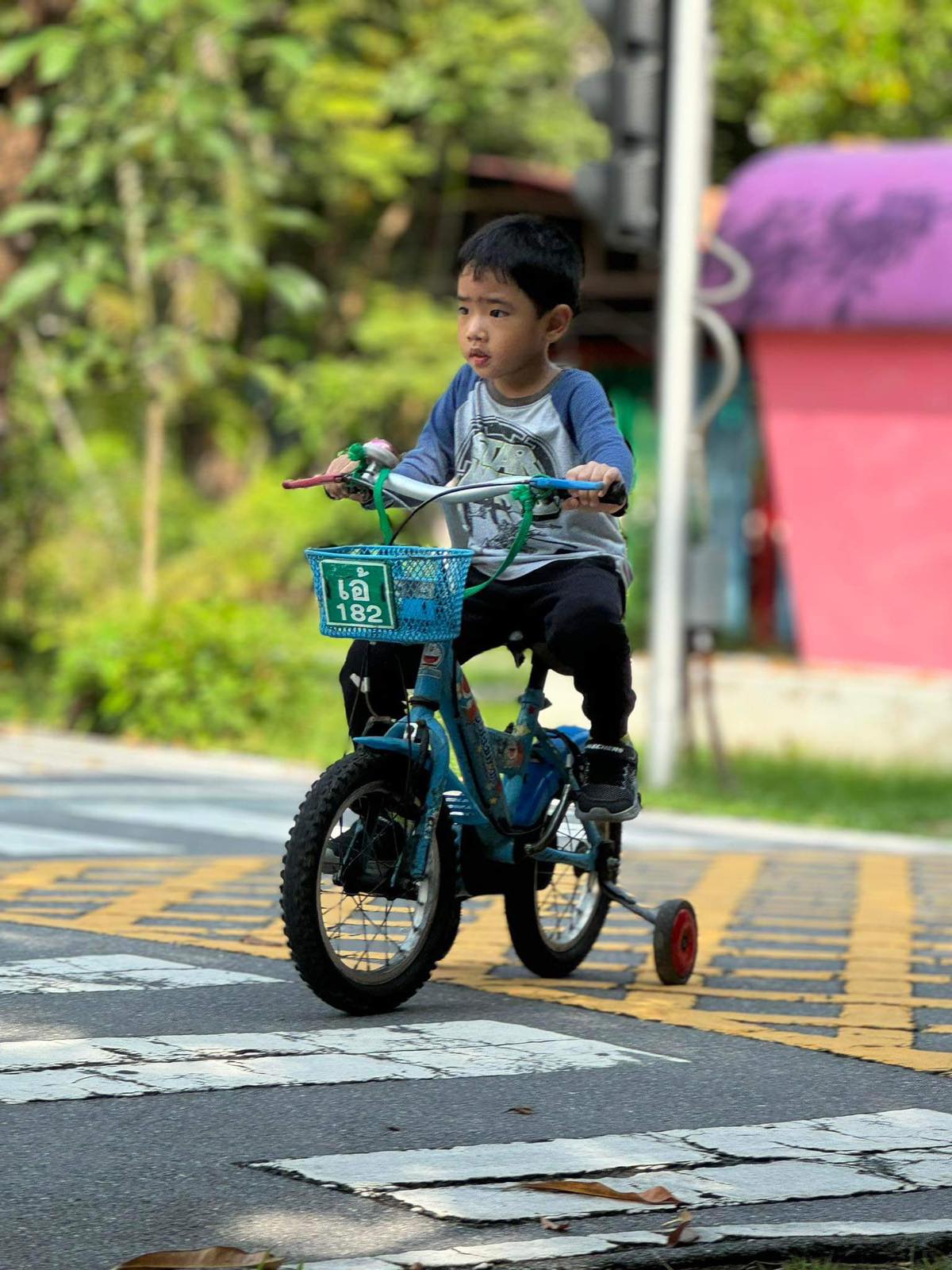 Little boy riding a bike